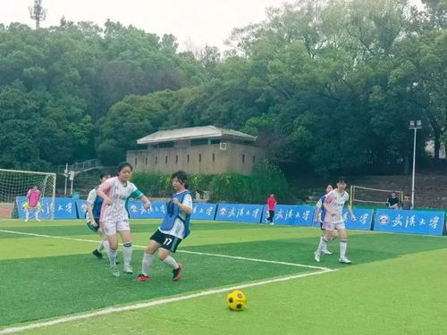 篮球直播cba在线看完整版视频截图