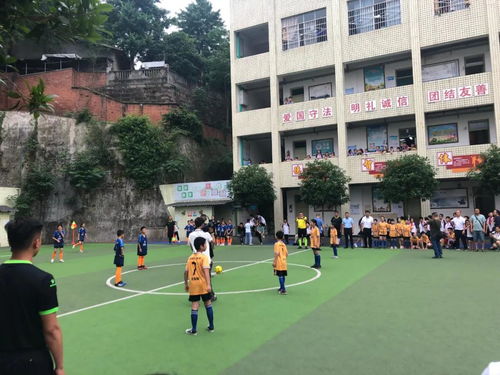 24小时b站直播间人气下单截图