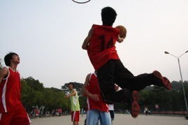 百视通NBA在线直播截图