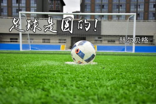 蜘蛛nba在线直播免费观看中文截图