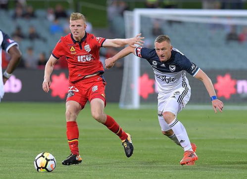 55足球直播视频直播360截图