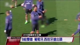 乐球吧免费直播下载手机版截图