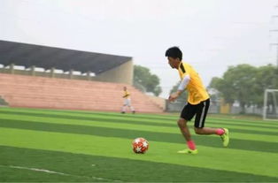 雨燕NBA在线回放截图